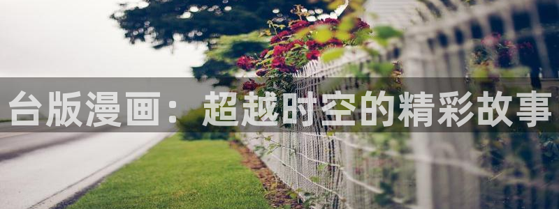 漫蛙怎么收藏漫画：台版漫画：超越时空的精彩故事