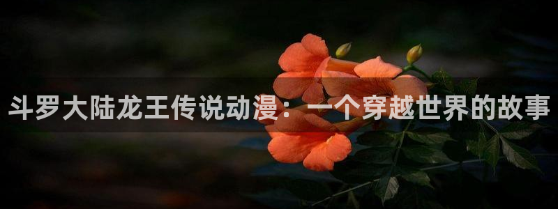 漫蛙漫画在线登录入口免费：斗罗大陆龙王传说动漫：一个穿越世界的故事