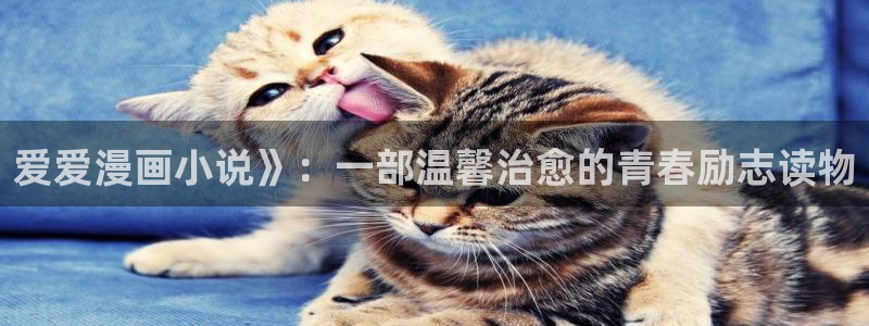 www.漫蛙漫画com.：爱爱漫画小说》：一部温馨治愈的青春励志读物