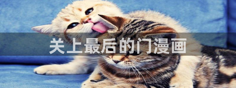 漫蛙漫画网址：关上最后的门漫画