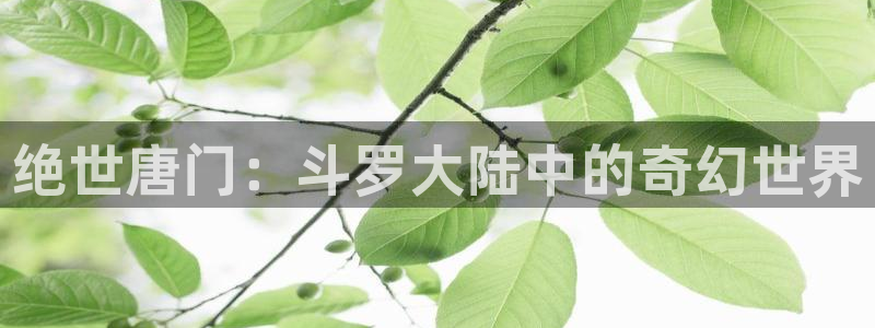 漫蛙漫画官方：绝世唐门：斗罗大陆中的奇幻世界