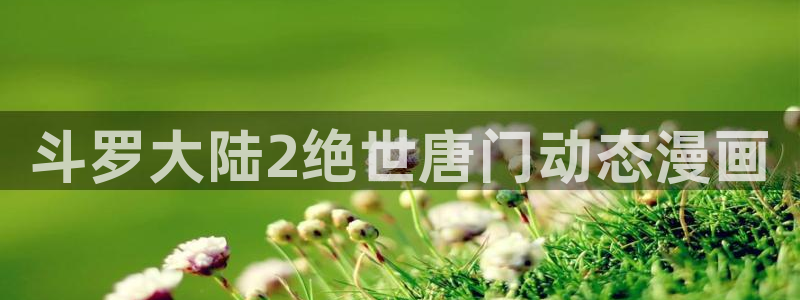 漫蛙2漫画网页入口：斗罗大陆2绝世唐门动态漫画